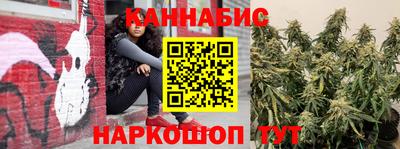 дживик Гатчина