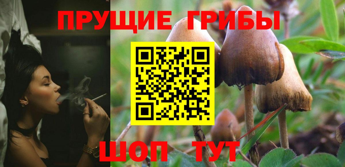 Псилоцибиновые грибы прущие грибы  Вход с VPN  Ликино-Дулёво 